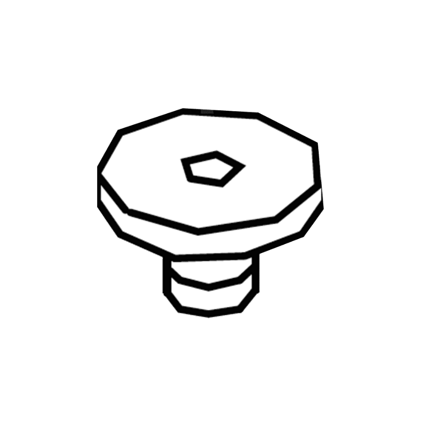 Picture of 4040SE-31 Cover Screw