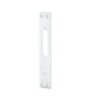 Picture of 888 Cover Plate, 8875 or 8827 with ANSI 161 door cutout