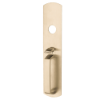 Picture of 880TP Grade 1 Thumbpiece Pull Trim, Classroom Function, Rim Prep, Satin Chrome Finish, Non-Handed