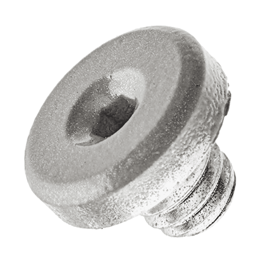 Picture of 4840-31 Cover Screw