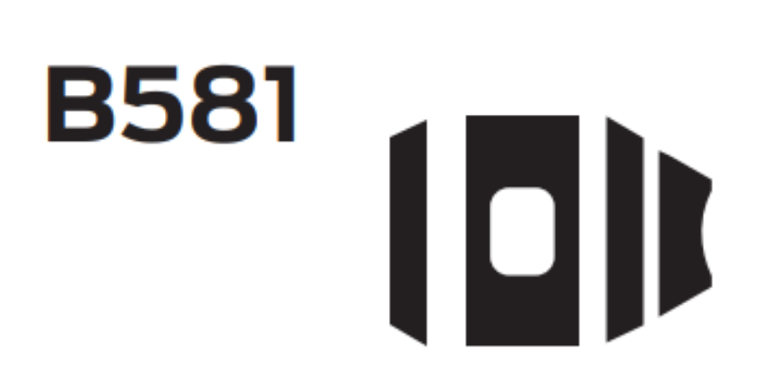 Picture of B581 Door Bolt with Trim