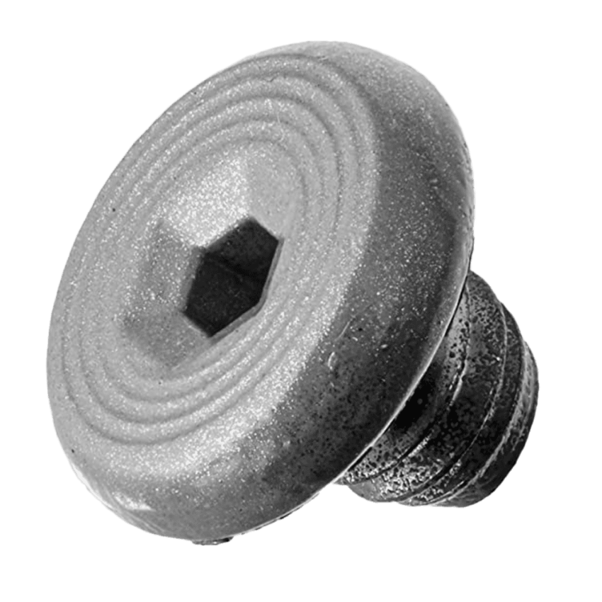 Picture of 4040XP-31 Cover Screw