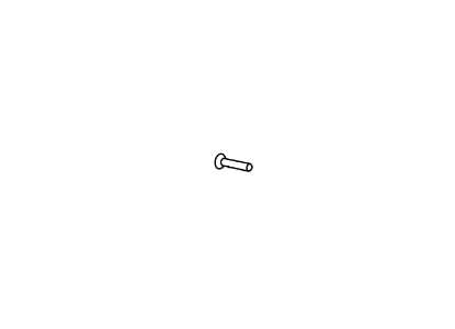 Detex 102271-116 1/4-20 x 1 inch stainless steel screw for 01 Series